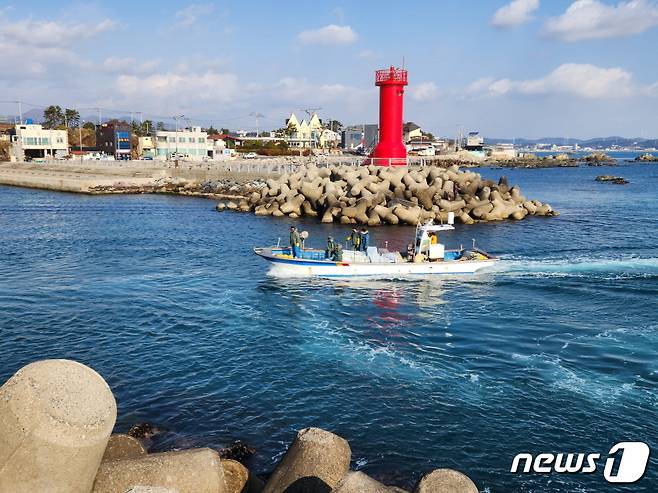 해양수산부의 바다숲 조성 사업지로 선정된 기장군 일광면 동백리 해역(기장군 제공)