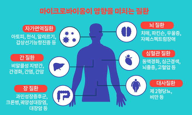 마이크로바이옴이 영향을 미치는 질환 [자료=천랩 마이크로바이옴 위키백과]