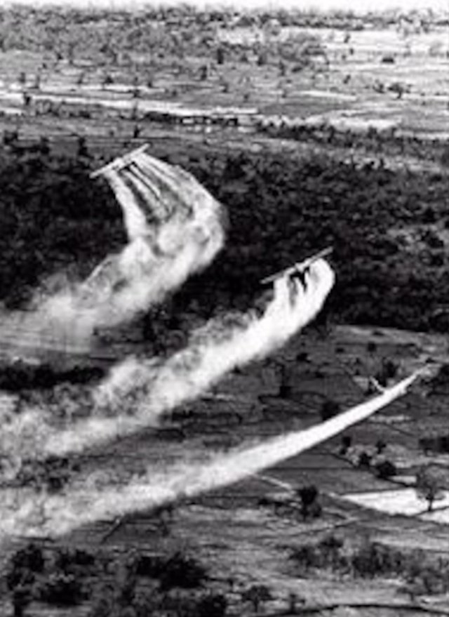 베트남전쟁 당시 미 공군은 2만6,000여 톤의 맹독성 화학무기인 고엽제를 공중 살포했다. afhistory.af.mil