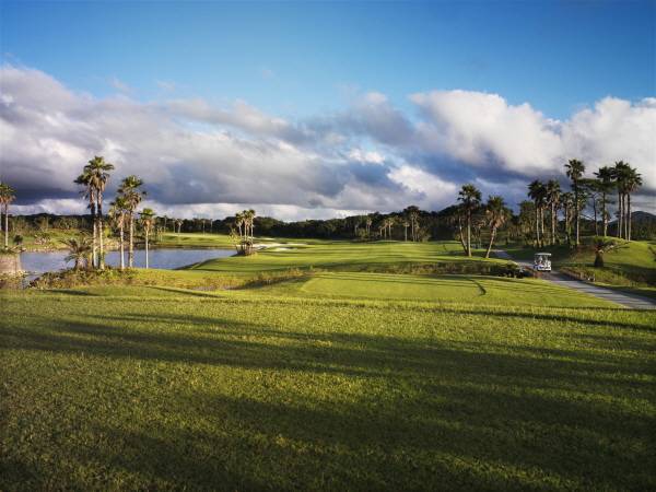 테디밸리 골프앤리조트는 겨울에도 초록 잔디 상태를 유지하기 위해 매년 가을 추운 날씨에도 강한 라이그래스 품종을 오버시딩 한다. /사진= 테디밸리 골프앤리조트