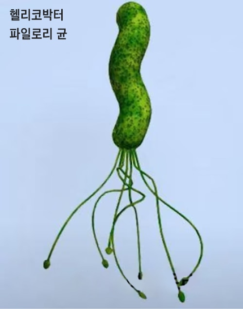 /자료=서울대병원