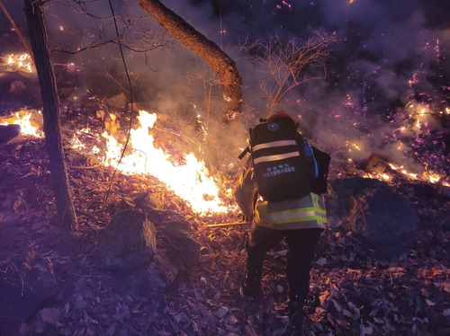 경북 성주 야산에 산불 야간진화 중 경북소방 제공