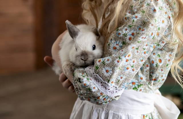 상대적으로 익숙한 반려견·반려묘에 비해 반려토끼는 낯설기도 하다. 전문가가 말하는 '반려 토끼 팁'을 들어봤다. 게티이미지뱅크