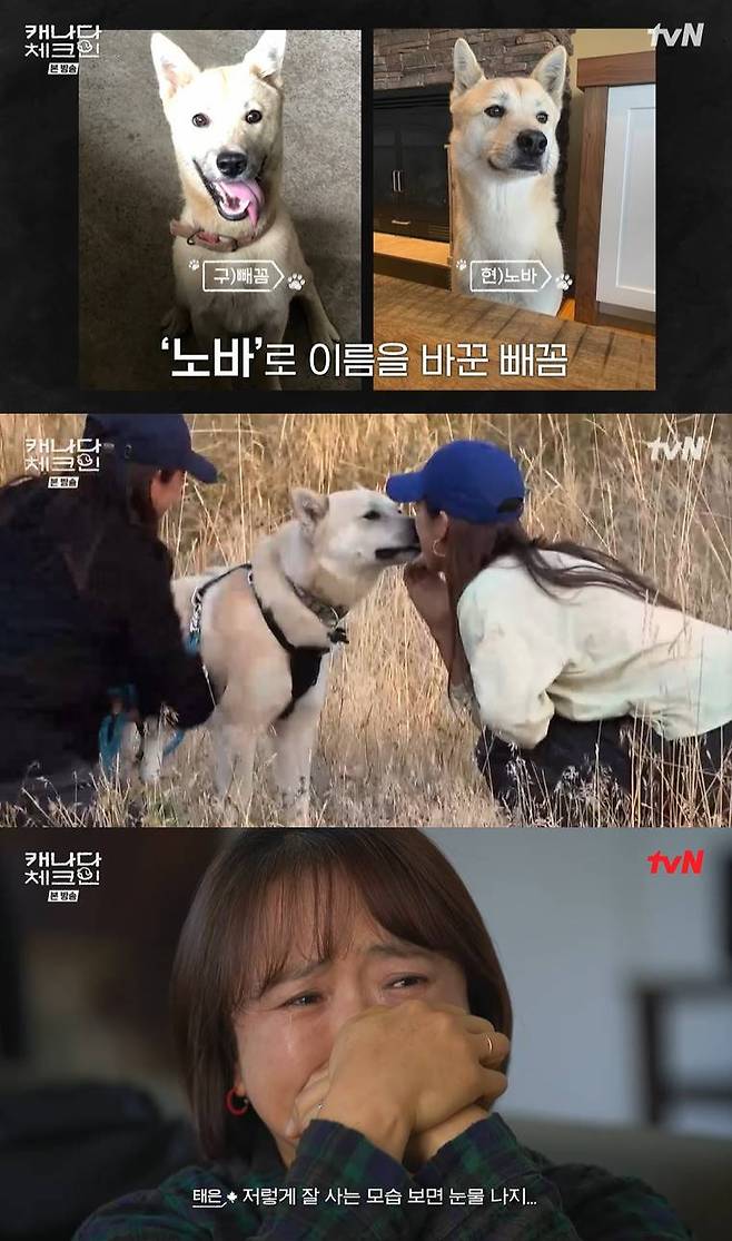 /사진=tvN '캐나다 체크인' 방송 캡처