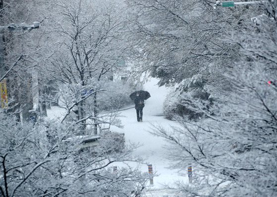 A person walks on a snowy road in Gangneung, Gangwon, on Sunday. [YONHAP]