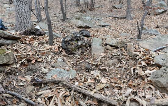▲ 동해시에 쇠부리터·숯가마터·철불·봉수대·백자·유기·석회·대마가마터·아연·시멘트 등 고대시대부터 이어져 오는 화철(火鐵)유적이 최소 40여곳 이상 발견되고 있어 불과 철을 매개로 하는 화철역사문화도시로 재창조할 필요성이 제기되고 있다.F지역  쇠부리 터 모습.