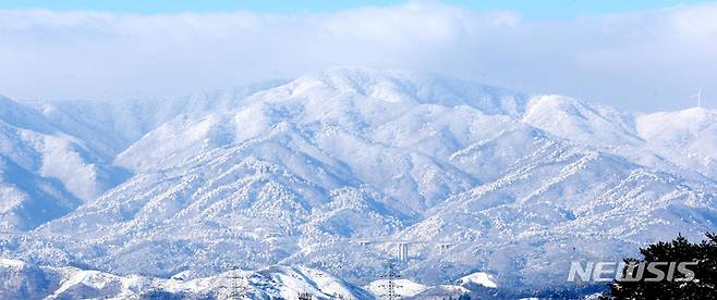 [강릉=뉴시스] 김경목 기자 = 16일 오전 강원 강릉시 성산면 대관령·선자령 등 백두대간 고갯길에 많은 눈이 내리면서 그림 같은 설경이 연출되고 있다. 2023.01.16. photo31@newsis.com