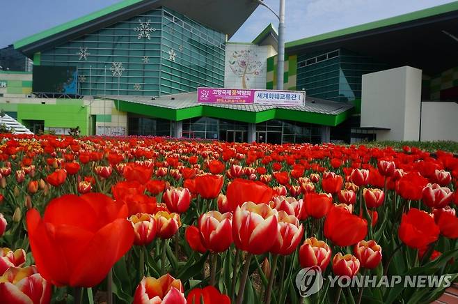 재단법인 고양국제꽃박람회 [재단법인 고양국제꽃박람회 제공. 재판매 및 DB 금지]