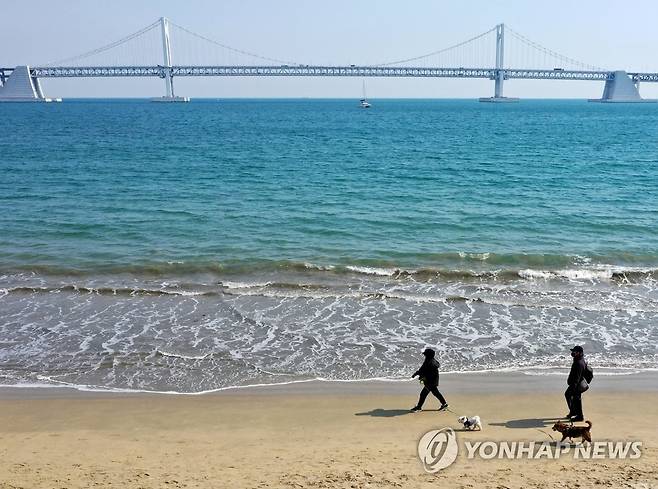 광안리해수욕장 연합뉴스 자료사진]