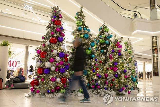 미국 뉴저지주 아메리칸드림몰 [EPA 연합뉴스 자료사진. 재판매 및 DB 금지]