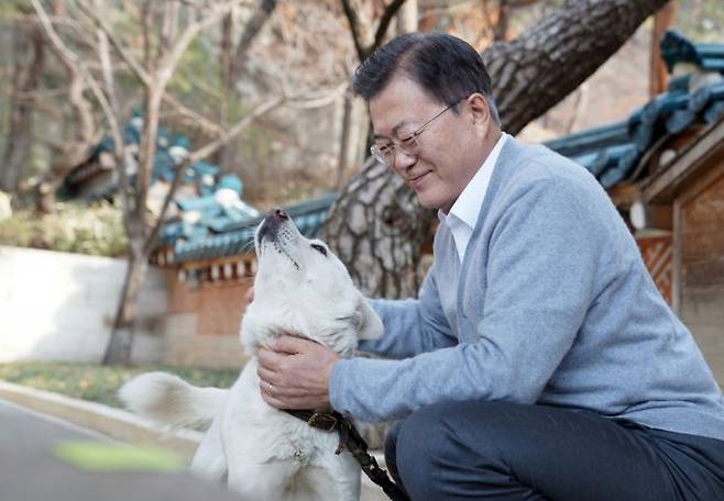 문재인 전 대통령이 청와대 관저에서 반려견을 쓰다듬고 있다. 2021년 2월 12일 청와대가 SNS를 통해 공개한 사진. [사진출처=청와대]