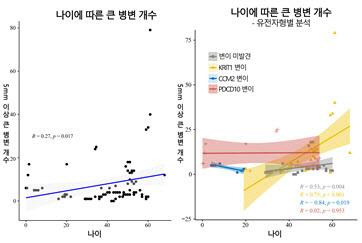 나이에 따른 큰 병변 개수. 나이가 많아질수록 5㎜ 이상으로 크기가 큰 병변 개수도 증가했다. 특히 KRIT1 변이 집단(노란색)의 증가율이 빨랐다. 서울대병원 제공