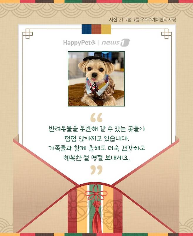 펫카드 설 명절