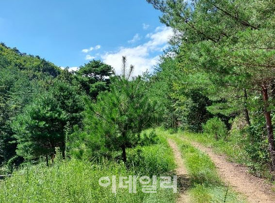 이번주 최다 응찰자 수 물건을 기록한 강원도 삼척시 노경리 위치한 토지.