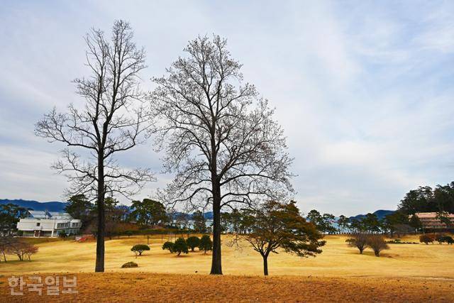 겉보기와 달리 저도 내부는 짜임새 있게 가꿔져 있다. 수목이 조화롭게 자라고 있는 대통령 골프장 풍경.