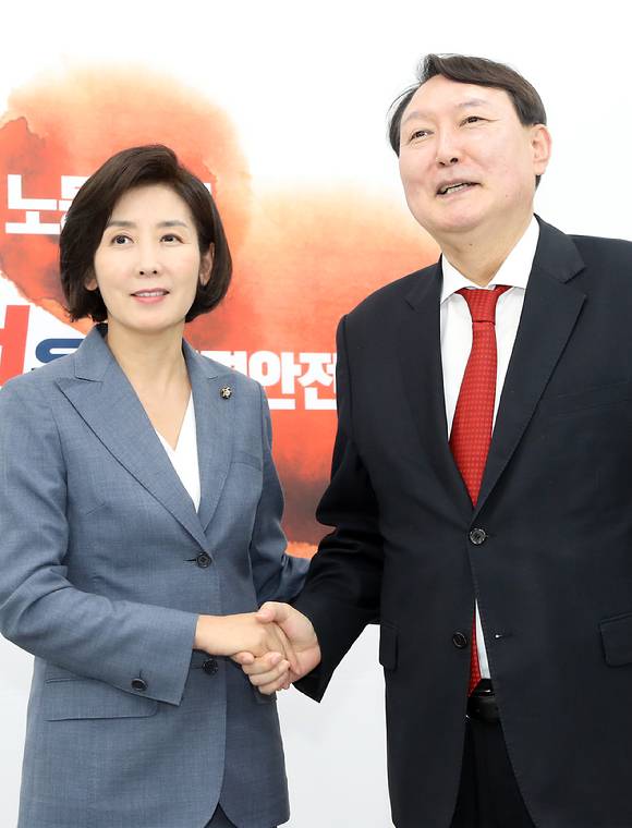 윤석열 당시 검찰총장이 서울 여의도 국회에서 자유한국당 당시 나경원 원내대표를 예방하여 악수를 하고 있다. 2019년 8월 8일 사진. [사진=뉴시스]