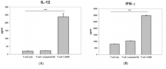 T세포에서의 사이토카인 IL-12와 IFN-γ의 수치 비교 결과./자료 제공=파미셀