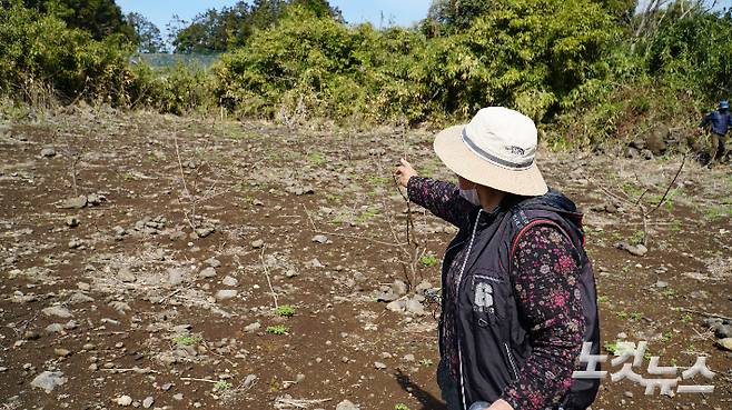 지금은 돌담만 남은 '잃어버린 마을' 무등이왓. 고상현 기자