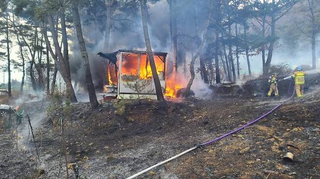대구 달성군 가창면 냉천리 임야 화재 현장. (대구소방안전본부 제공) 2023.01.28