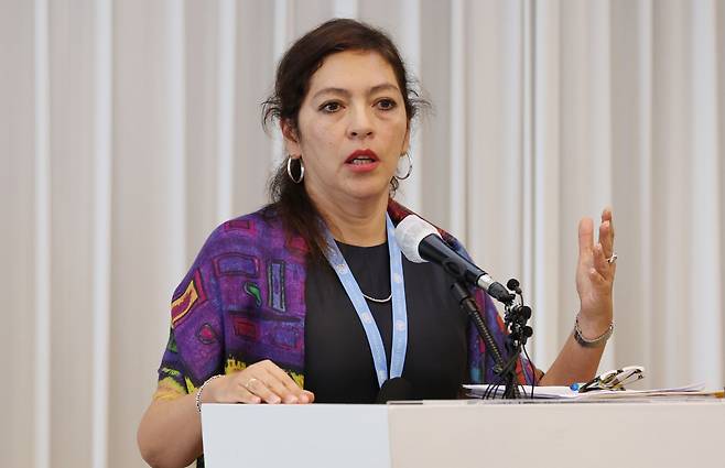 엘리자베스 살몬 유엔 북한인권특별보고관 [연합]