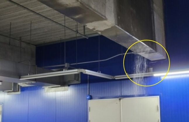 ⓒ연합뉴스(경기도 소방재난본부 제공)