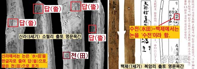 소월리 목간의 명문 중에는 특히 신라에서만 쓰인 ‘답(畓)’자가 눈에 띄었다(왼쪽 사진). 백제의 경우 논은 중국 표기법 대로 ‘수전(水田)’으로 표기했다(오른쪽 사진).|화랑문화재연구원 제공