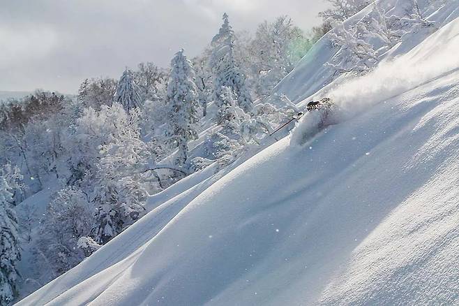 일본 훗카이도 지방 스키 슬로프에 ‘파우더 스노우’로 불리는 폭신한 눈이 쌓여있다.[키로로 리조트 제공]