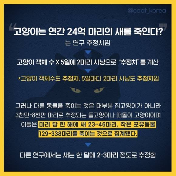 고양이 학대 추적단체 팀캣은 29일 새덕후의 주장을 반박하는 성명을 올렸다. 성명에 첨부된 이미지 일부. 팀캣 인스타그램 캡처