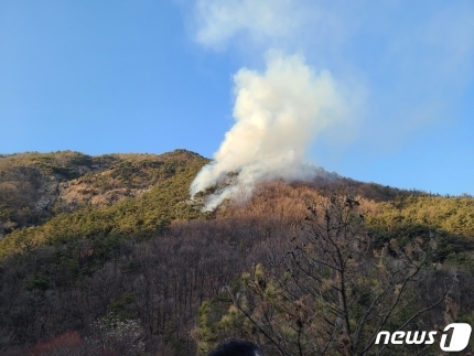 1일 오후 4시19분께 대전 유성구 갑동 야산에서 화재가 발생했다. (산림청 제공)/뉴스1
