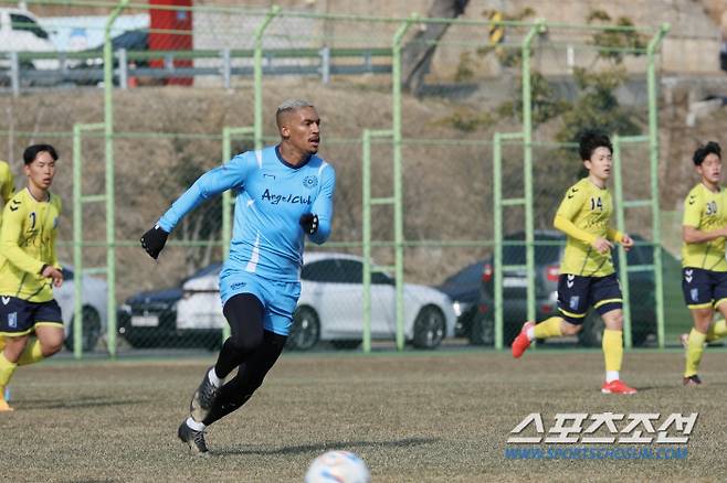 바셀루스 사진제공=대구FC