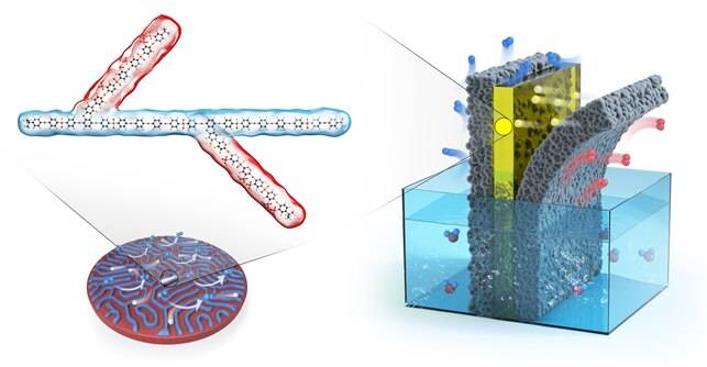 가지사슬 구조로 짜여진 전해질막. 수소 이온을 전달하는 부분과 막의 강도를 유지하는 부분이 나노미터 크기로 분리된 구조를 갖고 있어 기존 제품보다 성능이 뛰어나다. /한국화학연구원