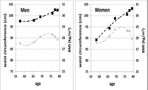 미국의 한 연구가 무설탕 탄산음료를 마시는 남성(오른쪽)과 여성 관찰 대상자의 허리둘레(검은색)와 체질량 지수(BMI, 회색) 변화를 관찰 시기 경과에 따라 정리했다. [자료=PubMed, 'Diet soda intake is associated with long-term increases in waist circumference in a biethnic cohort of older adults: the San Antonio Longitudinal Study of Aging']
