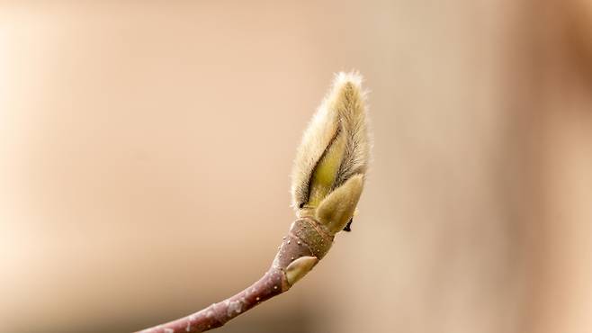 (사진 셔터스톡)