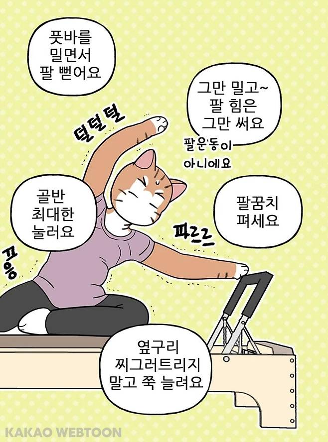 웹툰 '나도 있어! 근육' 한 장면 [카카오웹툰 갈무리]