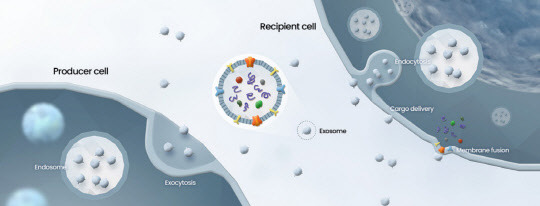 엑소좀 모식도. 일리아스바이오로직스 제공.