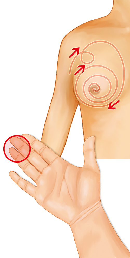 유방암 자가 진단은 매달 생리 3일 후 손가락 3개로 가슴 부위를 3개의 원을 그리듯이 만져보는 방법이다. ⓒ국립암센터 제공