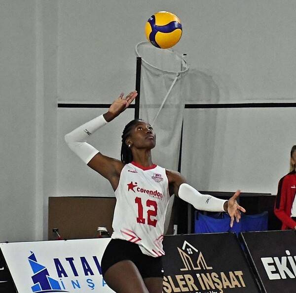 현대건설이 영입하는 몬타뇨.