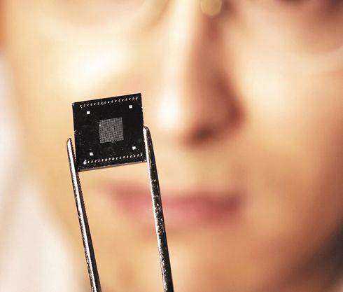 PC용 반도체 칩. /조선DB