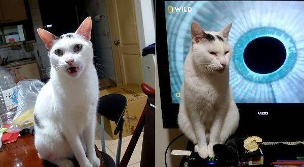 전발치를 하기 전 미미의 모습