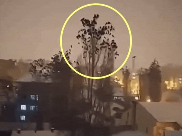 튀르키예 지진이 발생하기 직전 포착된 것으로 알려진 영상. OsintTV 트위터 캡처