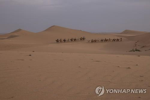 중국 텐거사막 모습 [EPA 연합뉴스 자료사진]