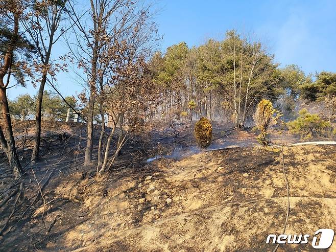 8일 오후 2시 52분 대전 서구 흑석동에서 발생한 산불이 44분만에 꺼졌다. 화재 진화 현장 모습. (산림청 제공)