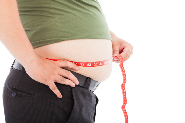 비만으로 인해 내장지방이 많을수록 인슐린 전달 경로를 방해하는 유리지방산과 아디포사이토카인이 많아져 당뇨병 위험이 높아진다./사진=클립아트코리아