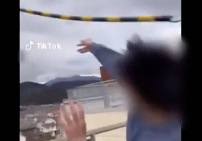 JR선로를 향해 창을 던지는 남성의 모습 [틱톡·닛테레 갈무리]