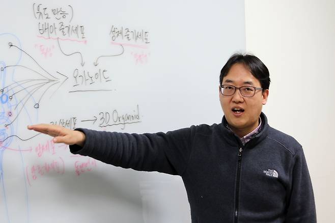 구본경 기초과학연구원(IBS) 유전체교정연구단 부연구단장. 구 박사는 환자 자신의 성체줄기세포로 만든 미니장기는 맞춤형 신약 개발에 쓰일 수 있다고 말했다./IBS