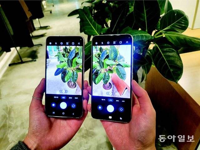 신작 ‘갤럭시 S23’(왼쪽)과 기자가 쓰던 ‘갤럭시 S22’로 동일한 피사체를 찍어봤다. 갤럭시 S23으로 찍은 사진에서 잎사귀 표면의 빛 번짐이 덜하고 색깔도 선명하게 드러났다. 곽도영 기자 now@donga.com
