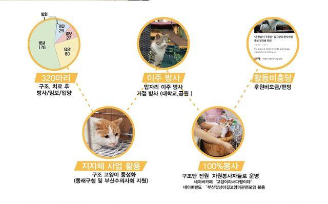2019년 부산 동래구 온천4구역 재개발 현장에서 고양이를 구조한 '온천냥이구조단'이 구조 내용을 담아 제작한 이미지. 온천냥이행복사회적협동조합 온라인 캡처