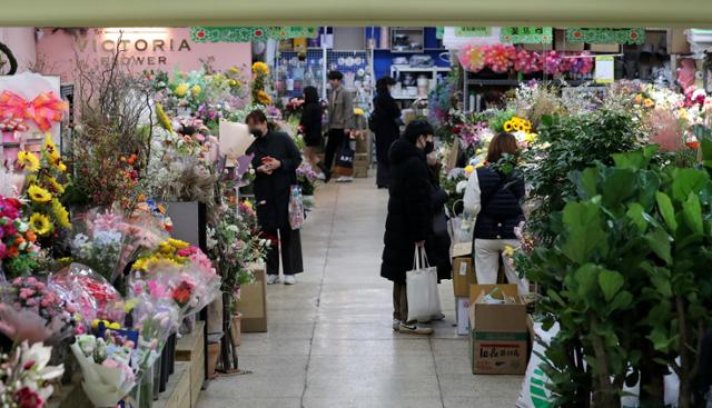 2일 오후 서울 서초구 양재꽃시장을 찾은 손님들이 꽃을 살펴보고 있다. 뉴스1