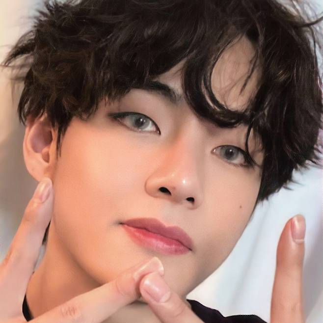 "멕시코에 BTS 선물" 방탄소년단 뷔 '서진이네' 현지 언론 '주목'