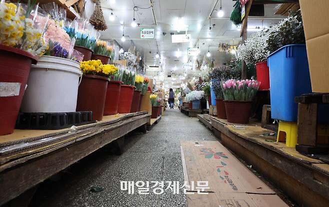 13일 남대문 곷시장이 한산 하다.
거리 두기가 해제되고  발렌타인 데이와, 각 학교의 졸업식에 정상적으로 열리면서 꽃 수요가 증가해 꽃다발이 최소 5~6만 원대 판매가가 형성되는 등 소비자들의 부담이 가중되고 있다.
이는 꽃을 재배하기 위한 난방비와 기타 재료비가 상승하고 꽃 수요도 급증해 나오는 현상으로 1년 새 장미 경매가격은 85% 상승했고, 봄을 알리는 꽃인 프리지어도 30% 올랐다. 2023.2.13[이충우기자]